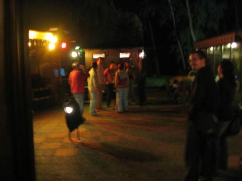 Maresco 2005 0044