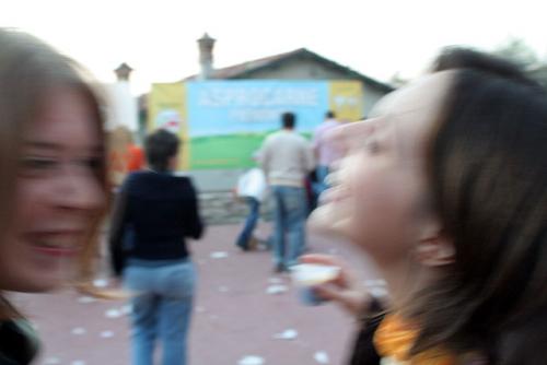 IMG 2534
